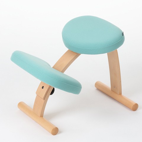 自宅でできる効果的な腰痛対策７ バランスチェア